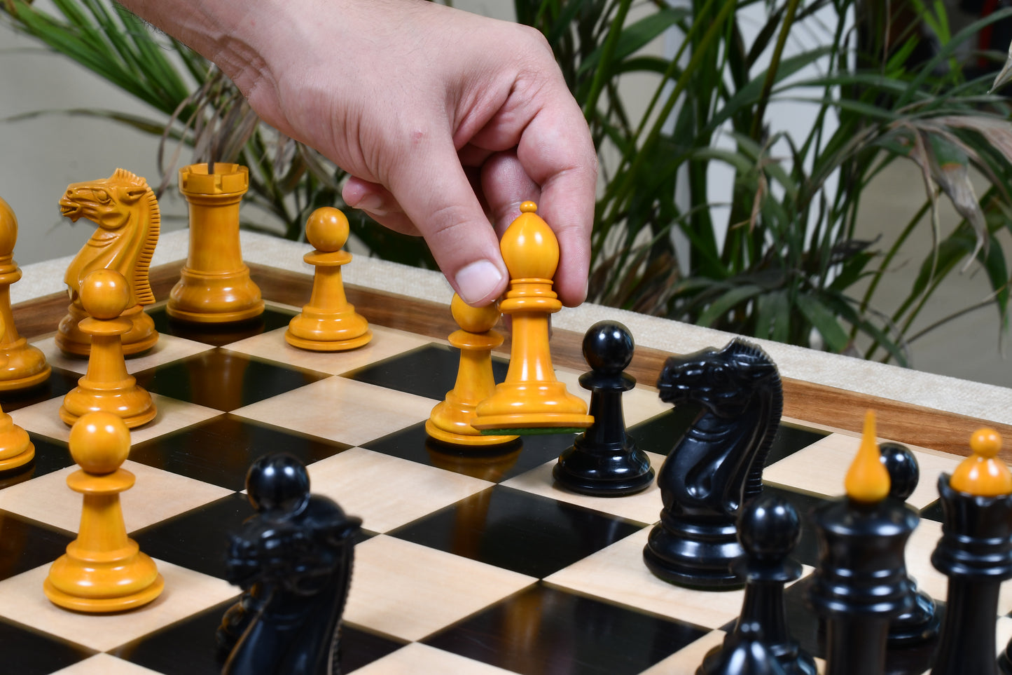 Reproduced 1940 Soviet Club Chess Pieces in Ebony / Antiqued Box wood - 4" King