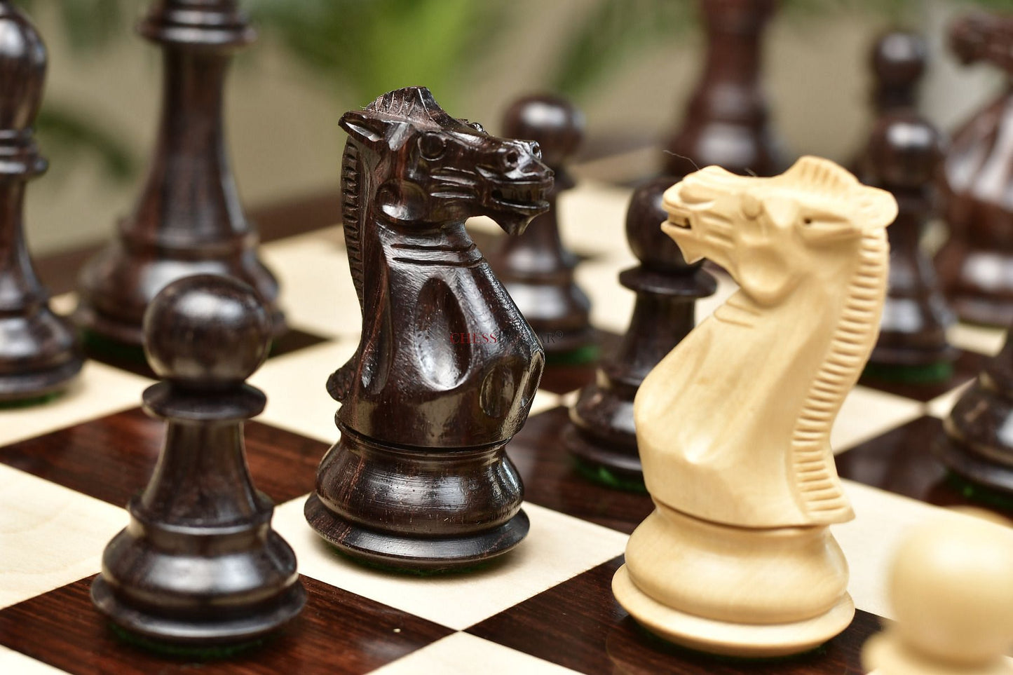Combo of Desert Gold Staunton Series Chess Pieces in Rosewood & Box Wood With Board & Box- 4.0" King