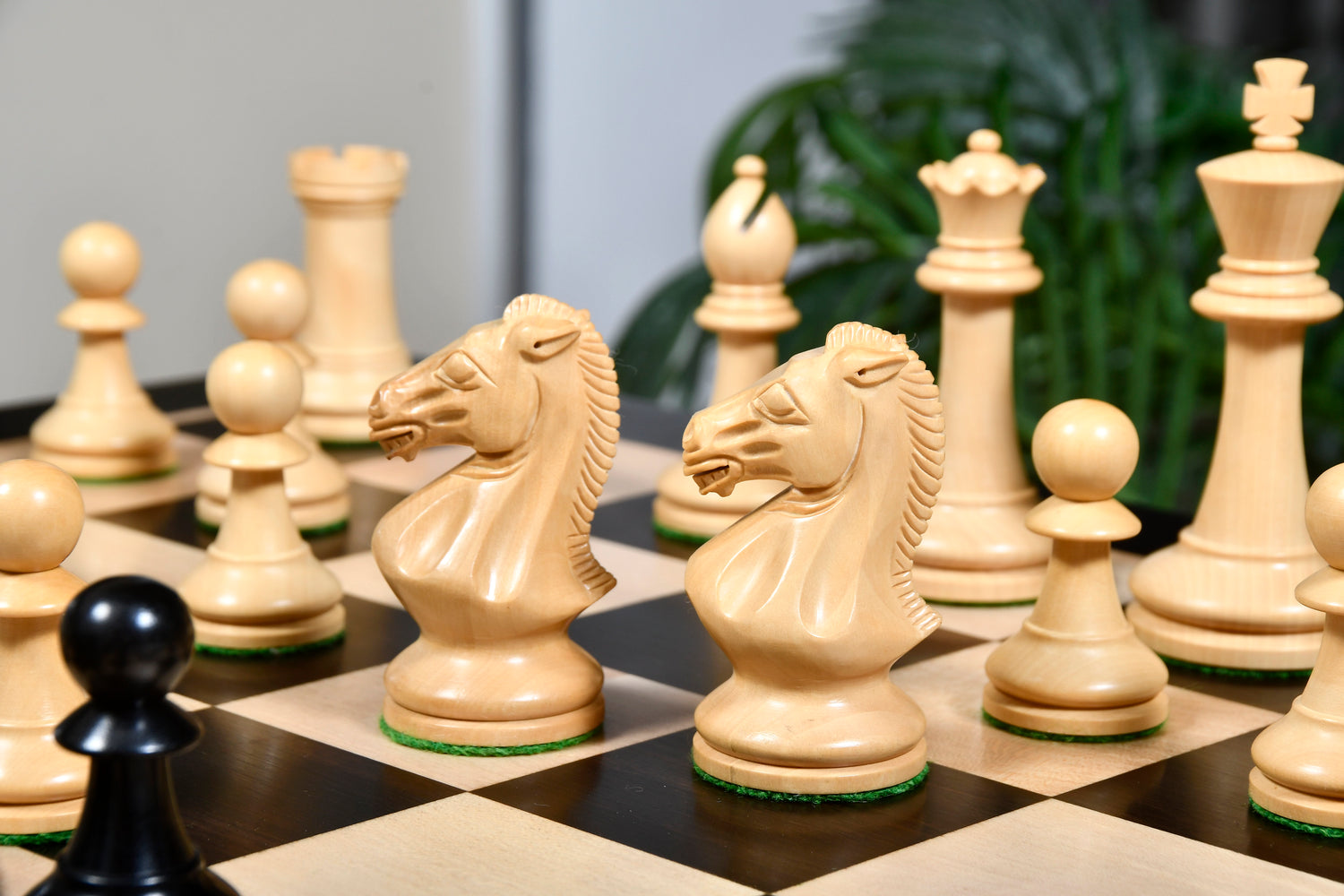 ChessBase India in Vidya Vihar West,Mumbai - Best Chess Accessory Dealers  in Mumbai - Justdial