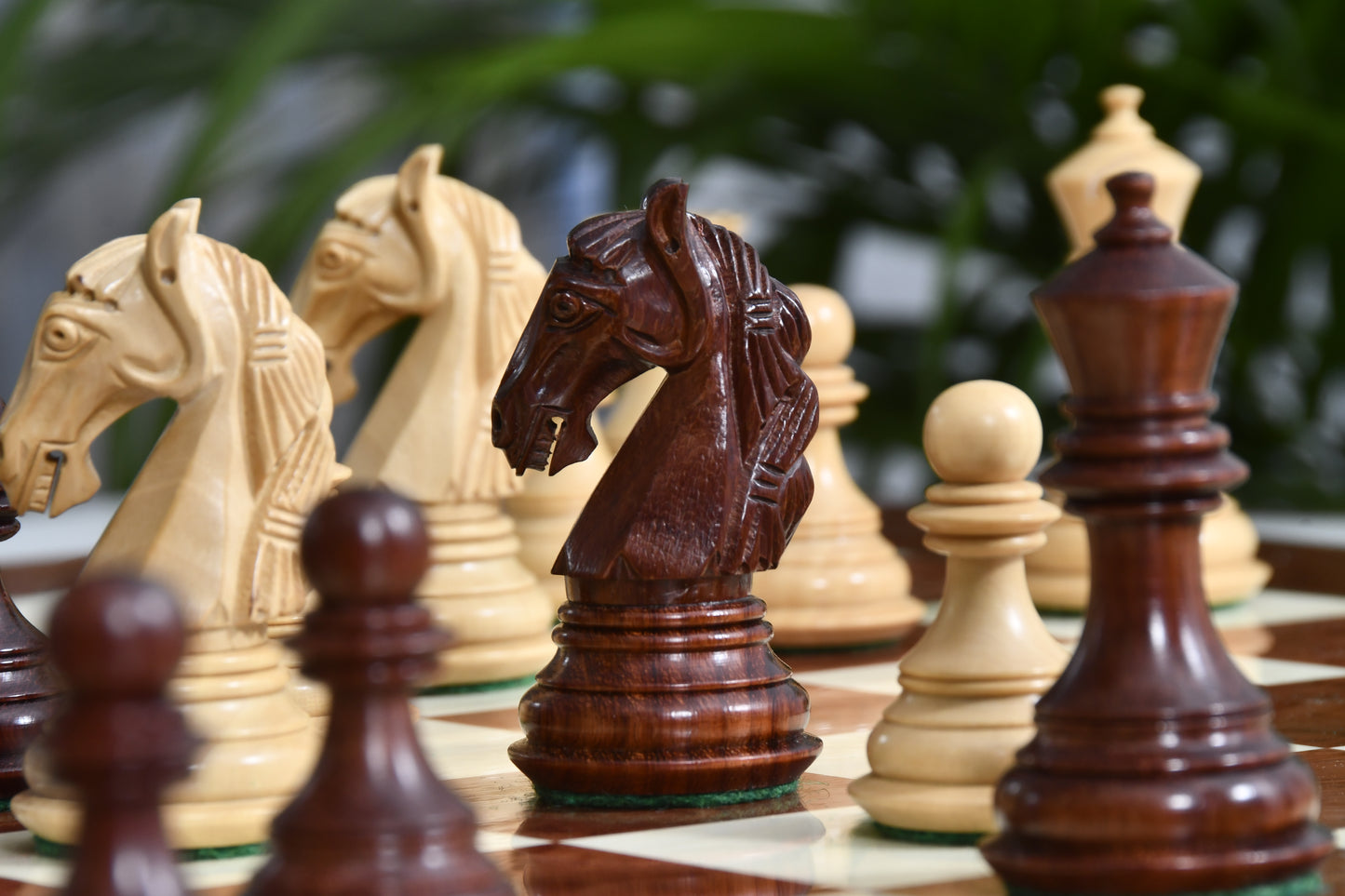 Combo The New Columbian Staunton Series Chess Pieces in Bud Rose Wood & Box wood - 3.8" King with Chess Boards