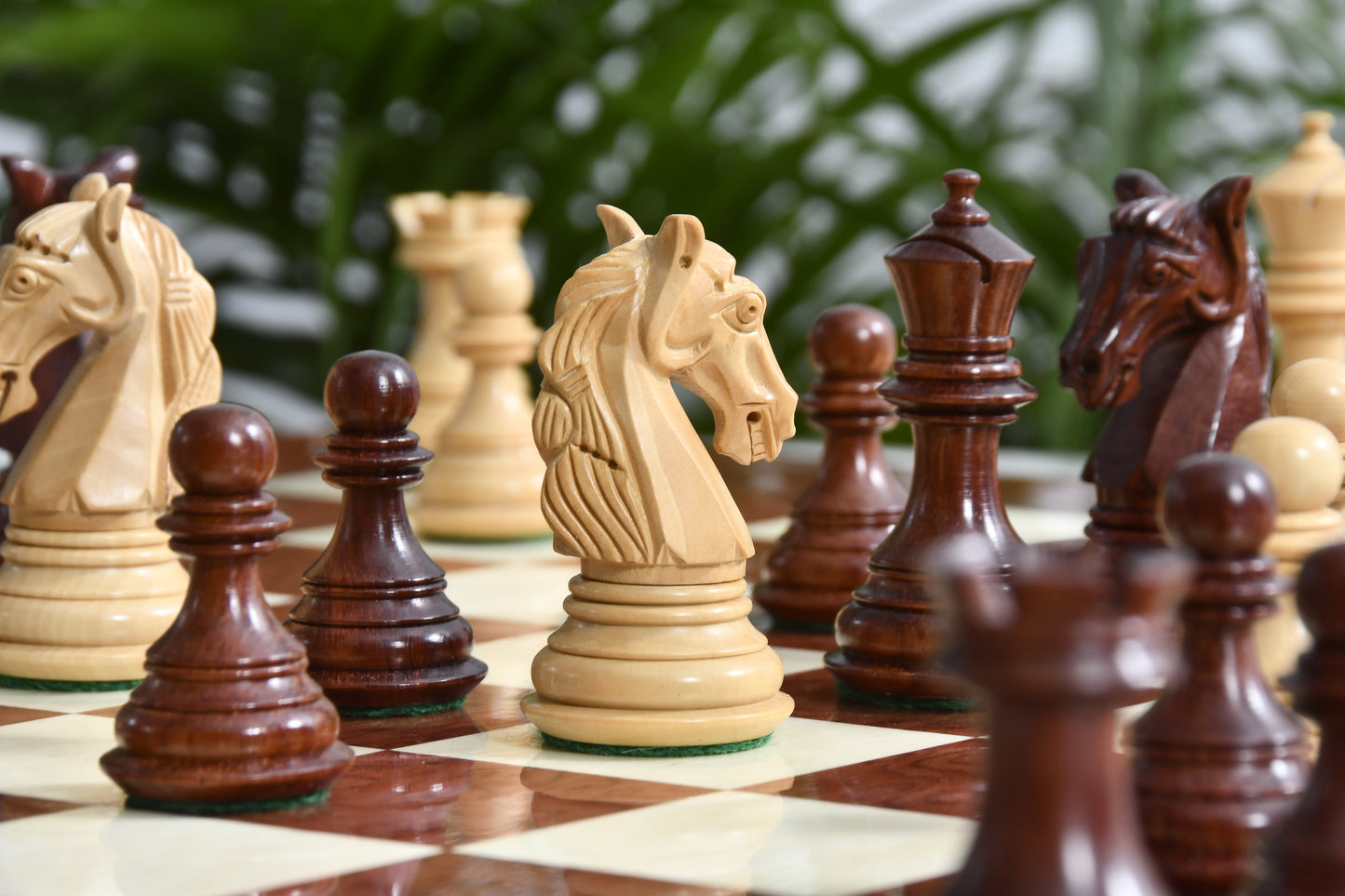 Combo The New Columbian Staunton Series Chess Pieces in Bud Rose Wood & Box wood - 3.8" King with Chess Boards