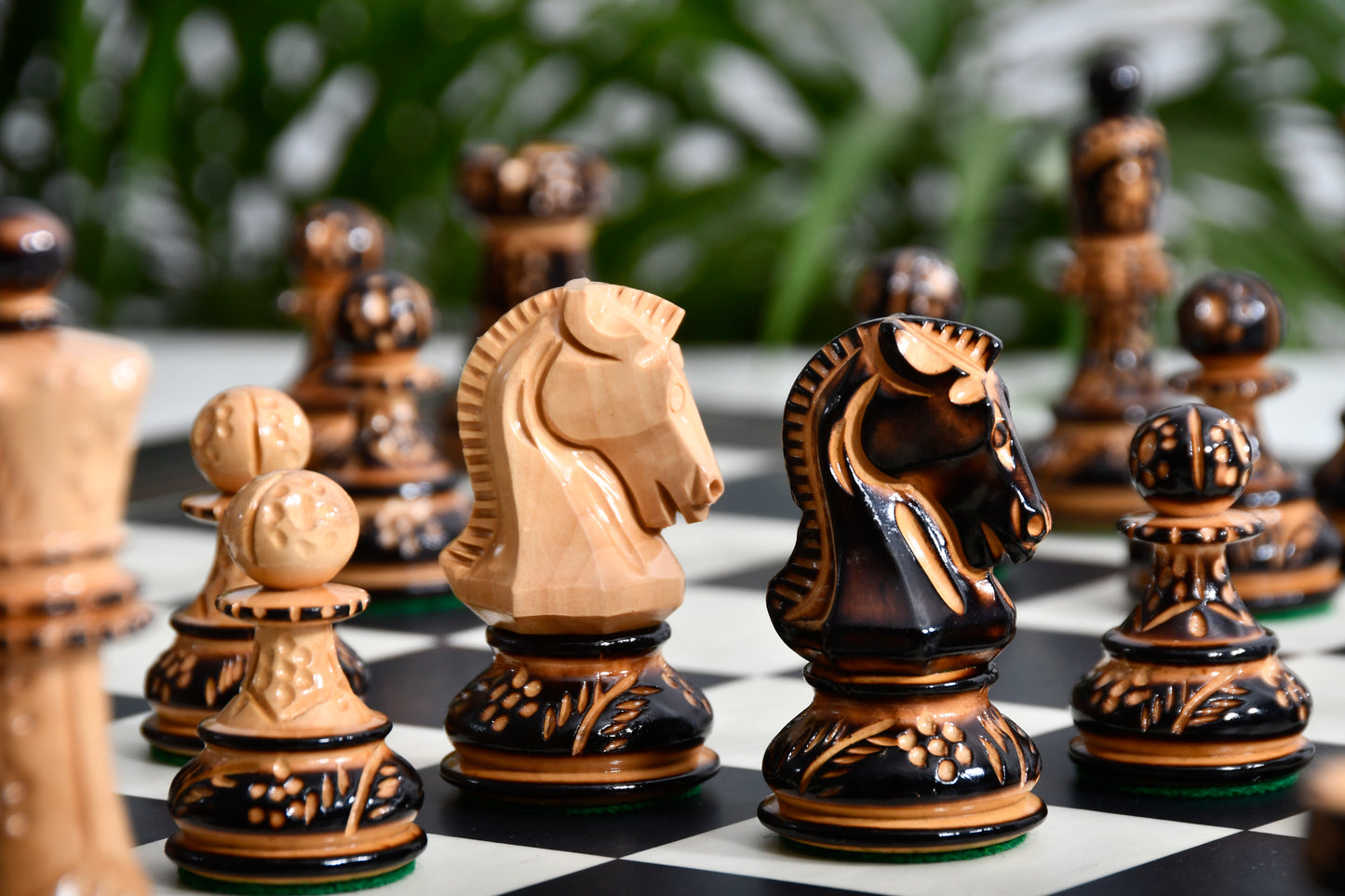 Combo 1950 Dubrovnik Bobby Fischer Chessmen Version 3.0 – Lacquered Box Wood Chess Set with 3.7" King & Board