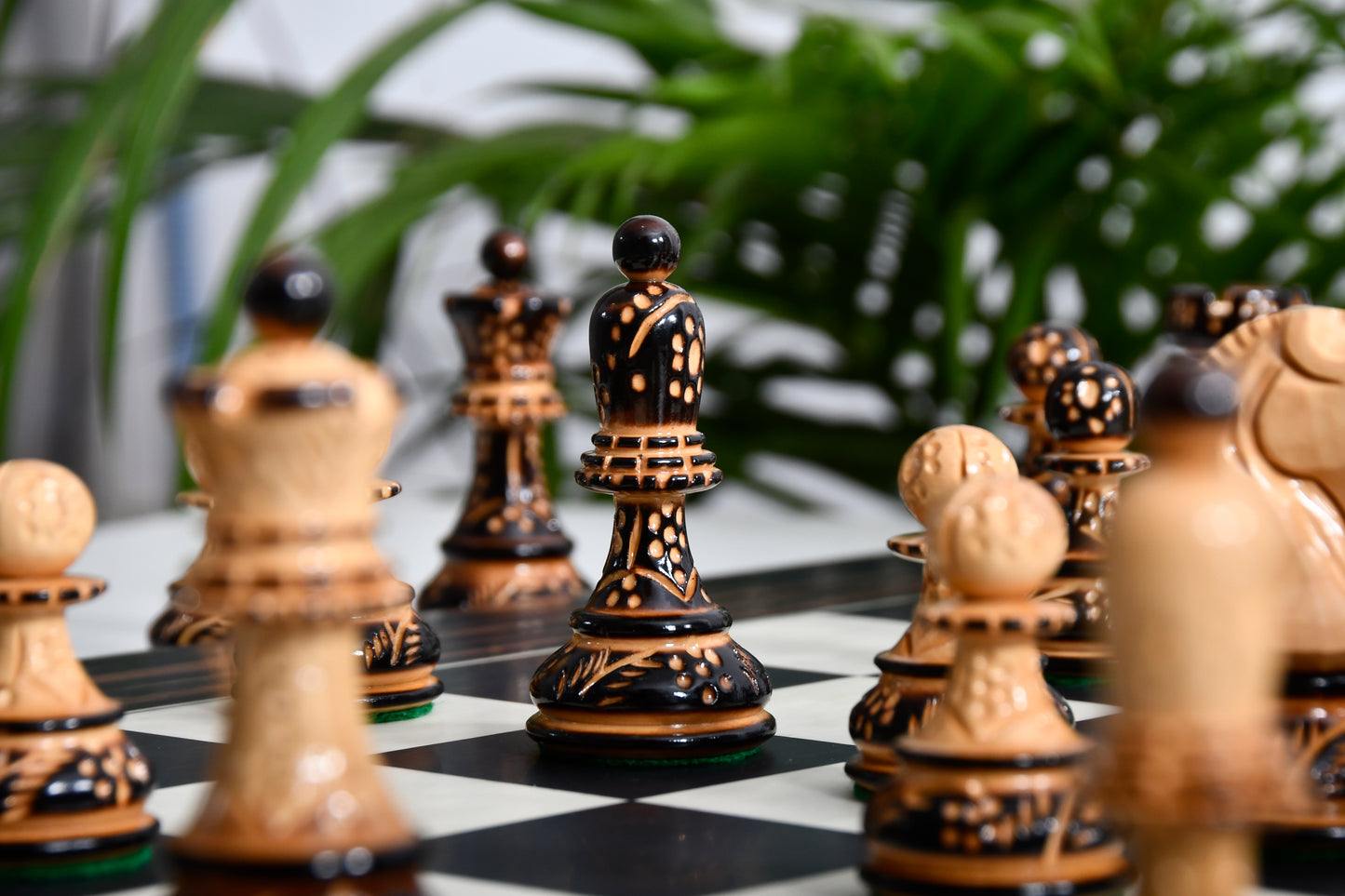 Combo 1950 Dubrovnik Bobby Fischer Chessmen Version 3.0 – Lacquered Box Wood Chess Set with 3.7" King & Board