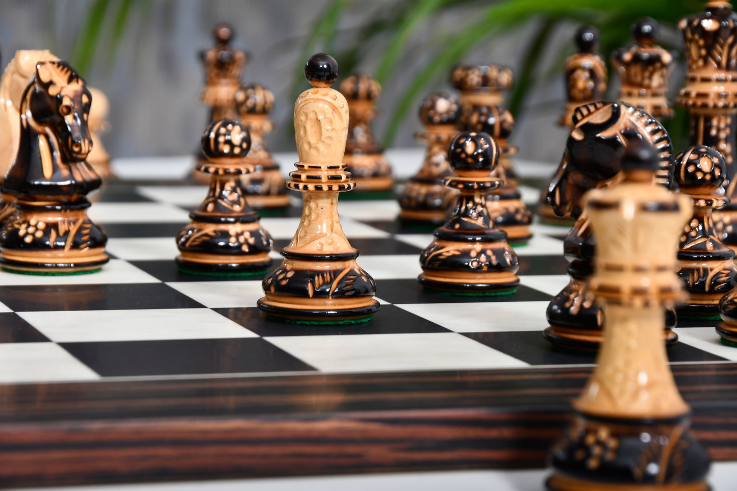 Combo 1950 Dubrovnik Bobby Fischer Chessmen Version 3.0 – Lacquered Box Wood Chess Set with 3.7" King & Board