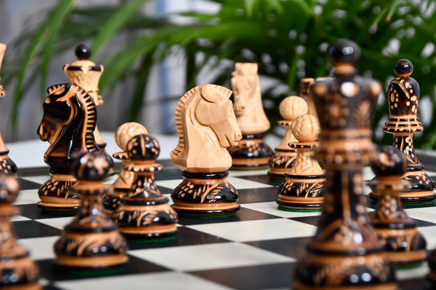 Combo 1950 Dubrovnik Bobby Fischer Chessmen Version 3.0 – Lacquered Box Wood Chess Set with 3.7" King & Board