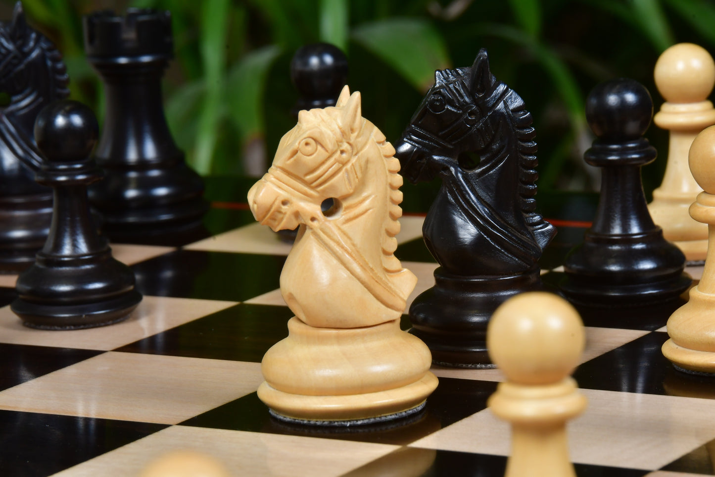 The Bridle Study Analysis Chess Pieces in Ebonized and Boxwood - 3.2" King