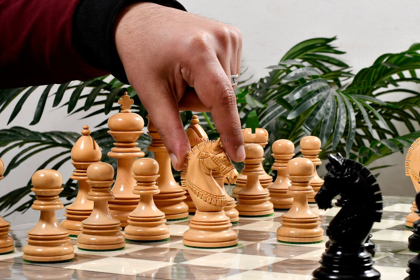 The Indian Chetak II Customized Lead Weighted Staunton Wood Chess Pieces in Ebony Wood / Box Wood - 4.3" King extra Queens
