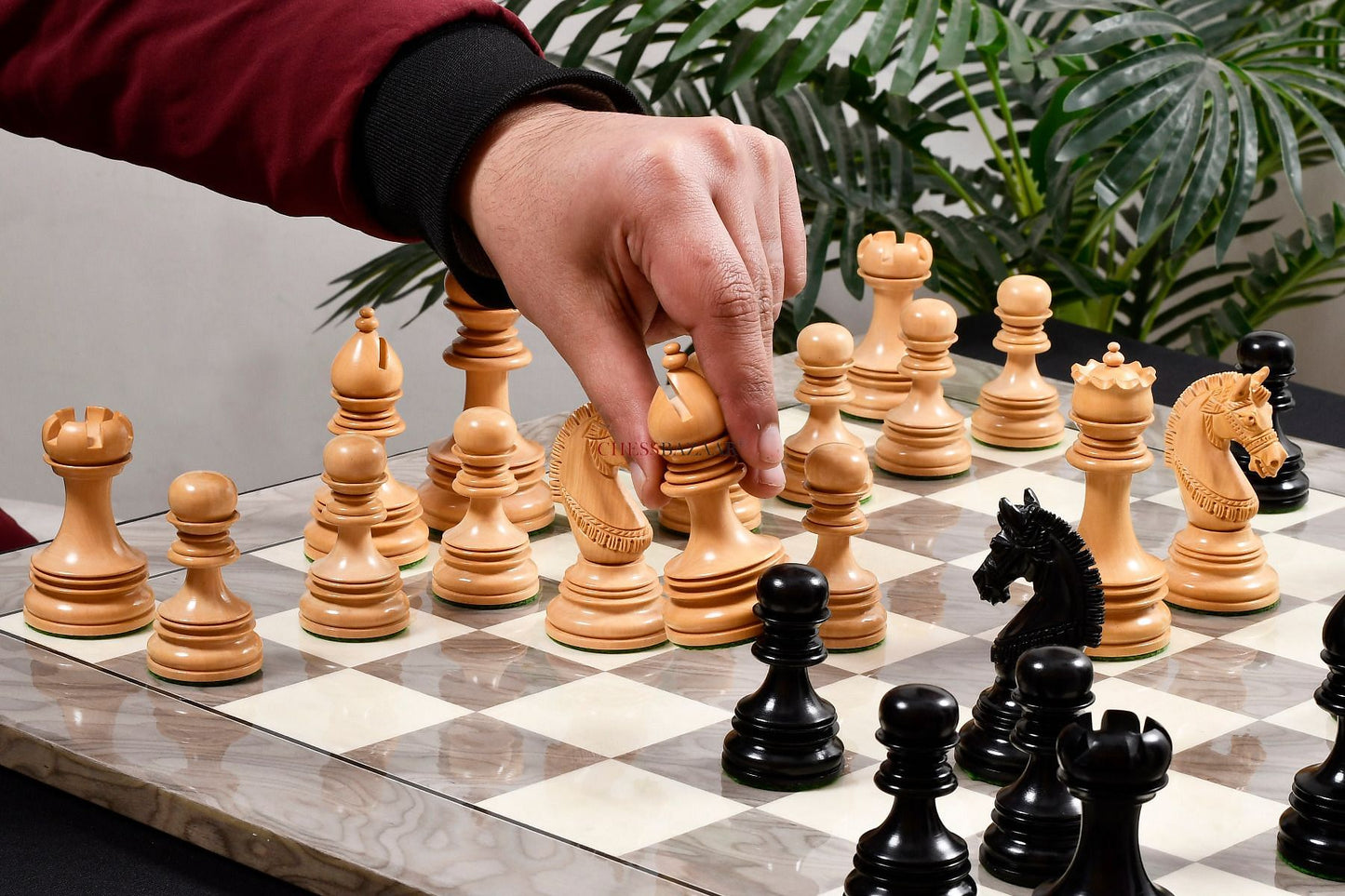 The Indian Chetak II Customized Lead Weighted Staunton Wood Chess Pieces in Ebony Wood / Box Wood - 4.3" King extra Queens