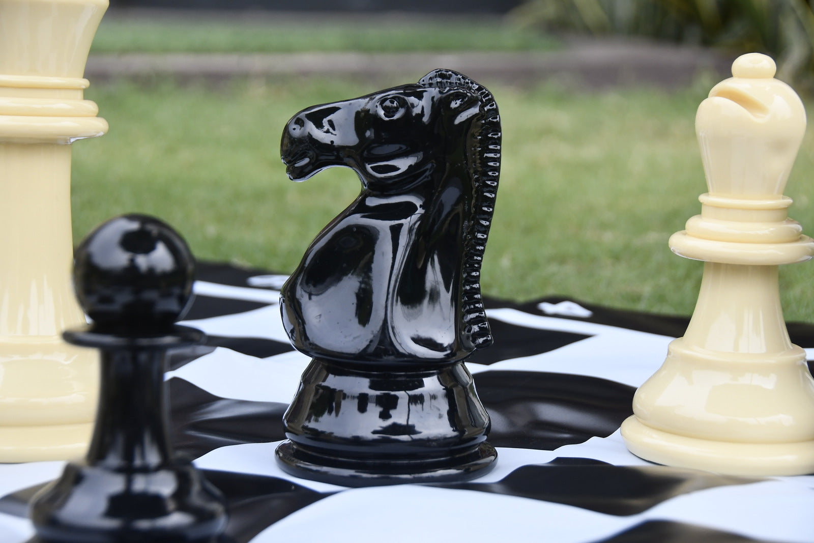 WE Games Garden Chess Set – Large 8 inch King, 35.5 inch Board – American  Chess Equipment