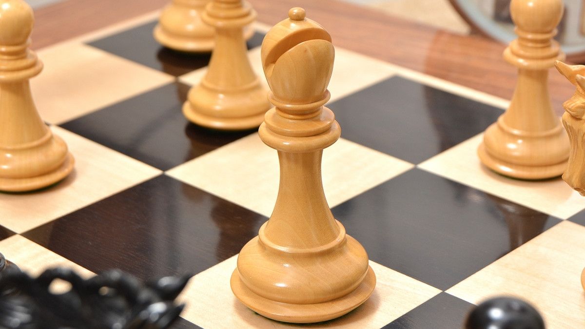 Combo of Pegasus Series Artisan Staunton Chess Set ver 2.0 in Ebony / Boxwood - 4.6" King & Wooden Chess Board Ebony Sheesham Wood 23" - 60 mm