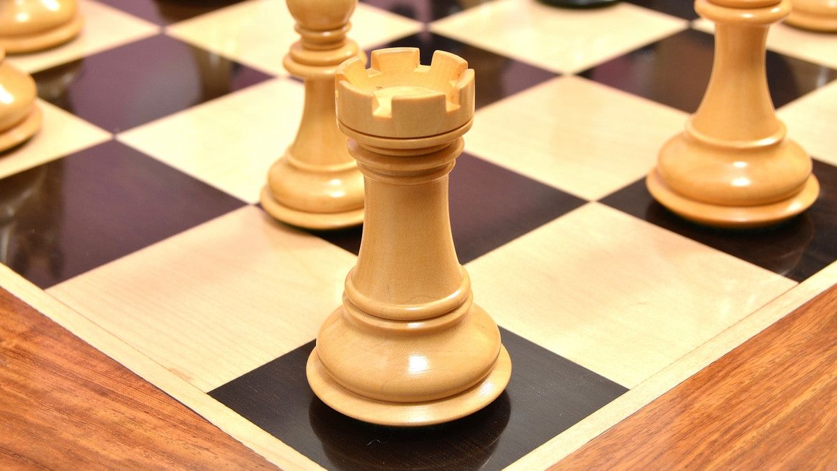 Combo of Pegasus Series Artisan Staunton Chess Set ver 2.0 in Ebony / Boxwood - 4.6" King & Wooden Chess Board Ebony Sheesham Wood 23" - 60 mm