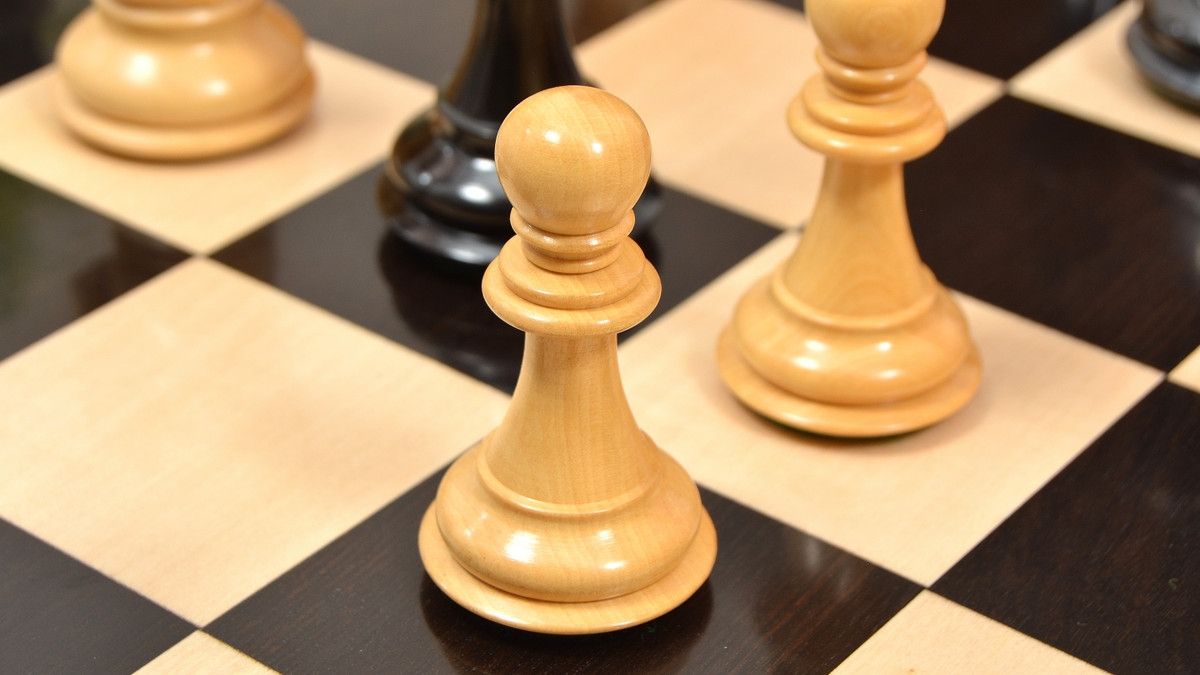 Combo of Pegasus Series Artisan Staunton Chess Set ver 2.0 in Ebony / Boxwood - 4.6" King & Wooden Chess Board Ebony Sheesham Wood 23" - 60 mm